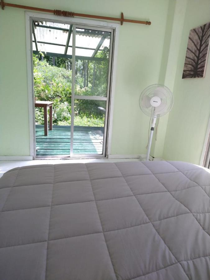 Cabanas Isla San Jose Tigre Værelse billede
