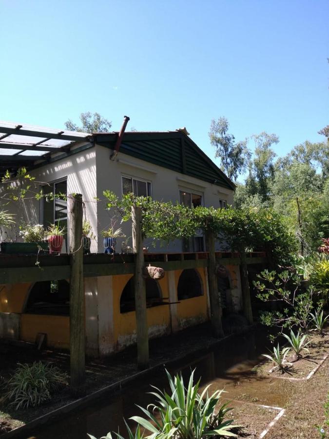 Cabanas Isla San Jose Tigre Værelse billede