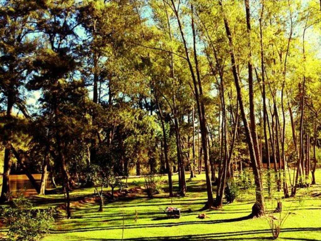 Cabanas Isla San Jose Tigre Værelse billede